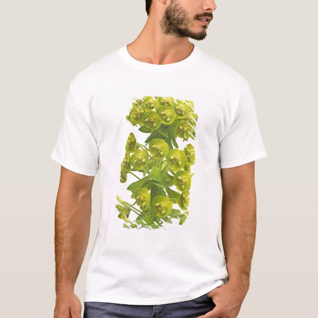 Camiseta Euforbio (Anverso)