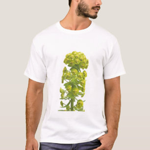 Camiseta Euforbio