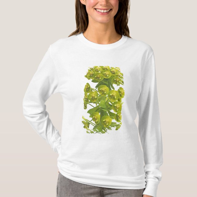 Camiseta Euforbio (Anverso)