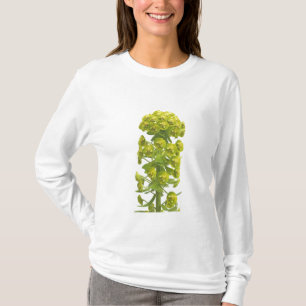 Camiseta Euforbio