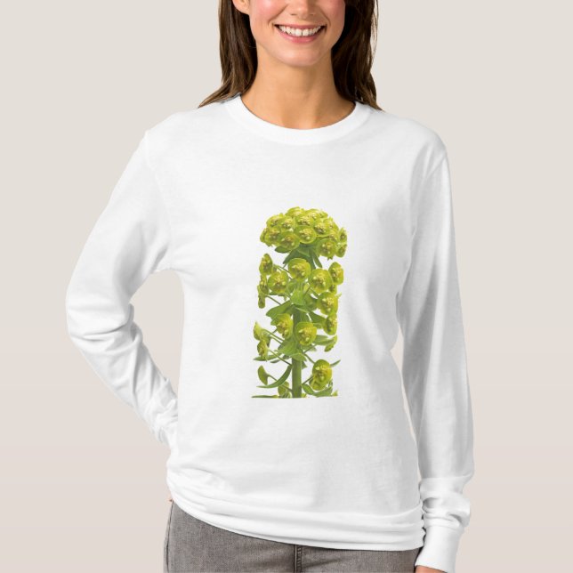 Camiseta Euforbio (Anverso)