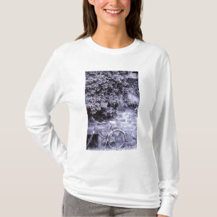 Camiseta Europa, Alemania, Baden, Wurttemberg, Heidelberg. 
