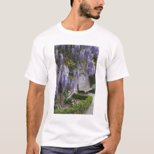 Camiseta Europa, Austria, Salzburg Stadt, Salzburgo,