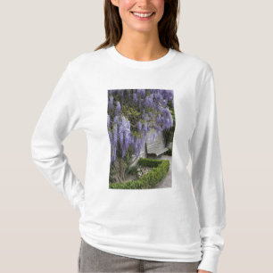 Camiseta Europa, Austria, Salzburg Stadt, Salzburgo,