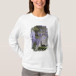 Camiseta Europa, Austria, Salzburg Stadt, Salzburgo,