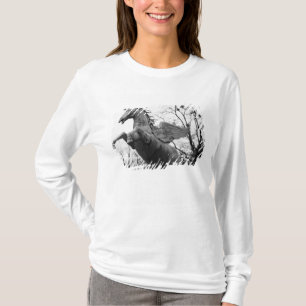 Camiseta Europa, Austria, Salzburgo. Estatua de caballo ala