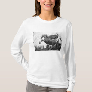 Camiseta Europa, Austria, Salzburgo. Estatua de caballo ala