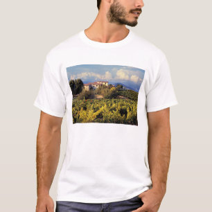 Camiseta Europa, Francia, Bonnieux. Viñedos cubren el
