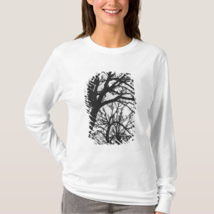 Camiseta Europa, Francia, París. Árboles de invierno, Marco