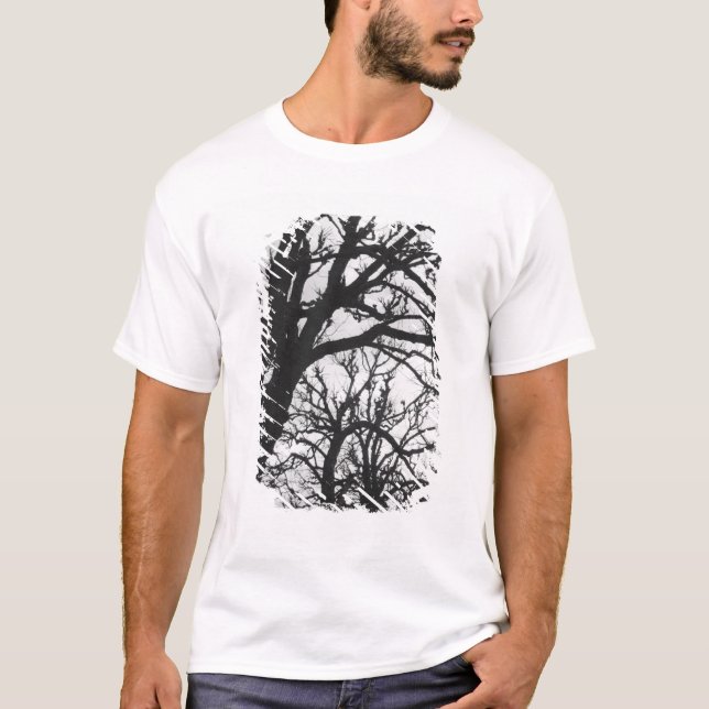 Camiseta Europa, Francia, París. Árboles de invierno, Marco (Anverso)