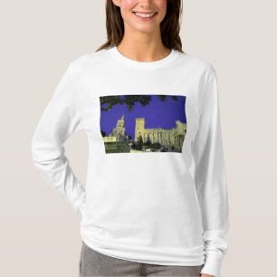 Camiseta Europa, Francia, Provenza, Aviñón. Palacio de