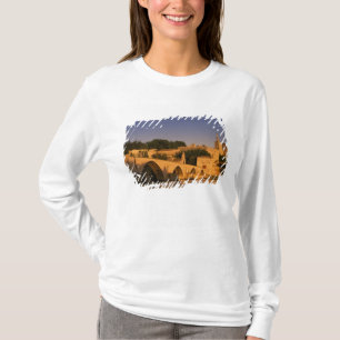 Camiseta Europa, Francia, Provenza, Aviñón. Palacio de los