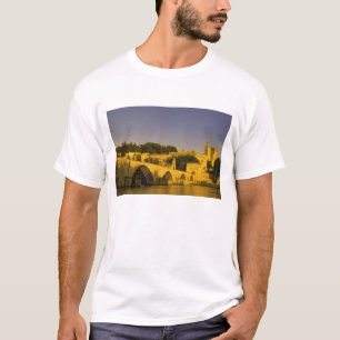 Camiseta Europa, Francia, Provenza, Aviñón. Pont St, 2