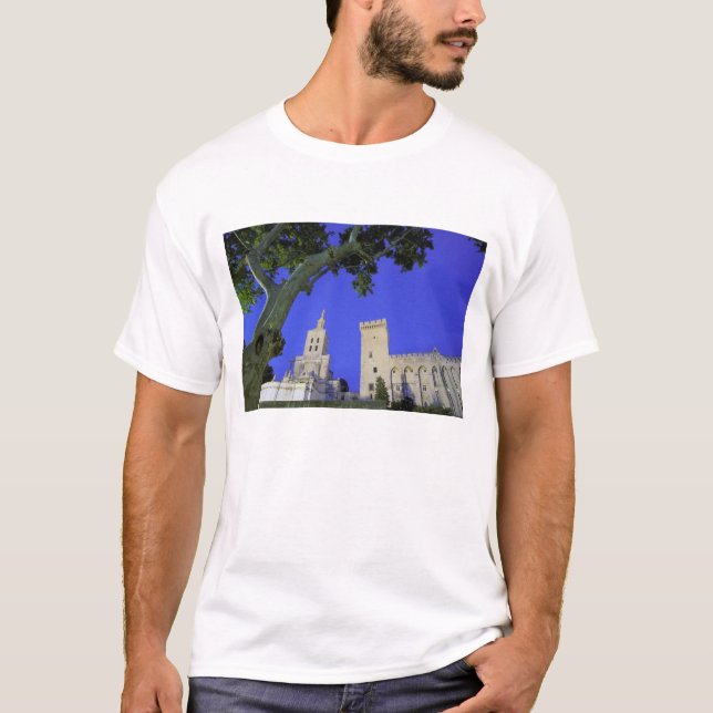 Camiseta Europa, Francia, Provenza, Vaucluse, Aviñón. (Anverso)