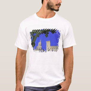 Camiseta Europa, Francia, Provenza, Vaucluse, Aviñón.