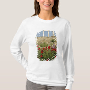 Camiseta Europa, Grecia, Cícladas, Delos. Ruinas de columna