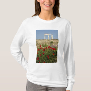 Camiseta Europa, Grecia, Cícladas, Delos. Ruinas de columna