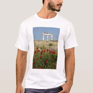 Camiseta Europa, Grecia, Cícladas, Delos. Ruinas de columna