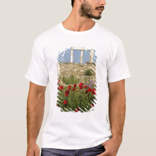 Camiseta Europa, Grecia, Cícladas, Delos. Ruinas de columna