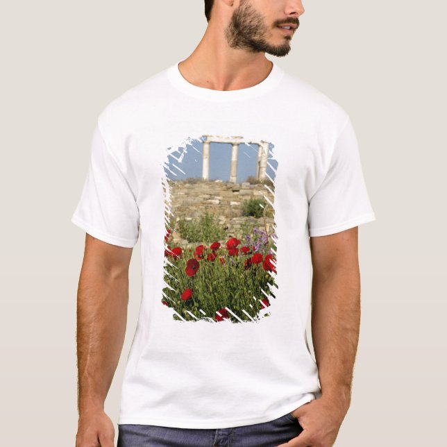 Camiseta Europa, Grecia, Cícladas, Delos. Ruinas de columna (Anverso)