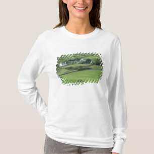 Camiseta Europa, Irlanda, Condado de Kerry, Ring of Kerry.