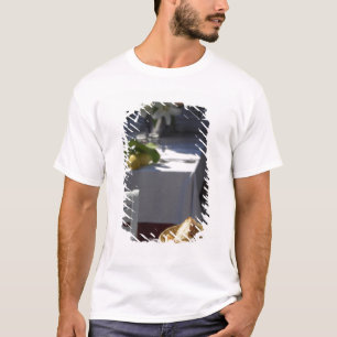 Camiseta Europa, Italia, región de Liguria, Cinque Terre,