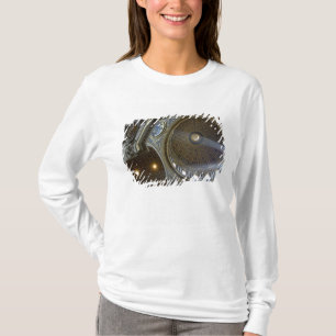 Camiseta Europa, Italia, Roma. Basílica de San Pedro