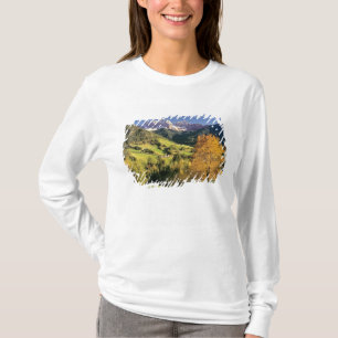 Camiseta Europa, Italia, Santa Magdalena. El pequeño