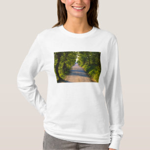 Camiseta Europa, Italia, Toscana, carretera arbolada