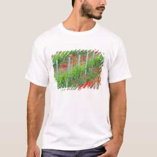 Camiseta Europa, Italia, Toscana. Coloridas amapolas rojas