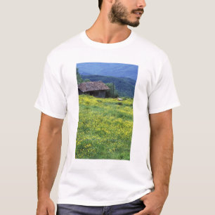 Camiseta Europa, Italia, Toscana, Siena, Chianti.