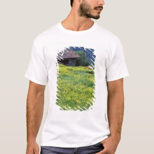 Camiseta Europa, Italia, Toscana, Siena, Chianti.
