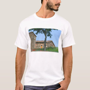 Camiseta Europa, Italia, Toscana, villa abandonada en