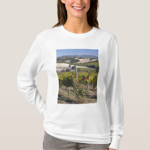 Camiseta Europa, Italia, Umbría, cerca de Montefalco, Viñed
