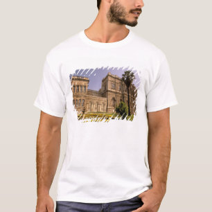 Camiseta Europa, Oriente Medio, Estambul. El Bósforo,