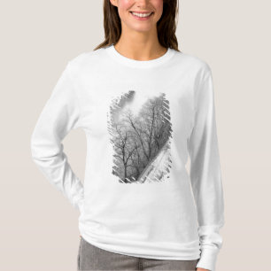 Camiseta Europa, Suiza, Berna. Vista general del Aare