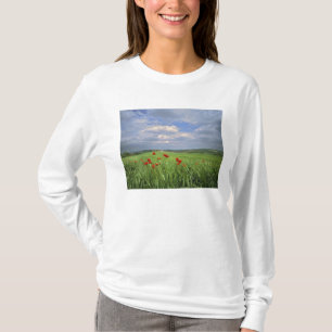 Camiseta Europa, Toscana, Poggiolo. Las amapolas rojas se m