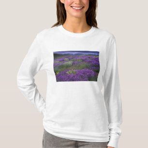 Camiseta Europa, Turquía, Capadocia. Paisaje rural 2