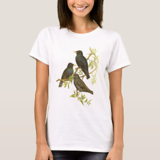 Camiseta Europeo Starling