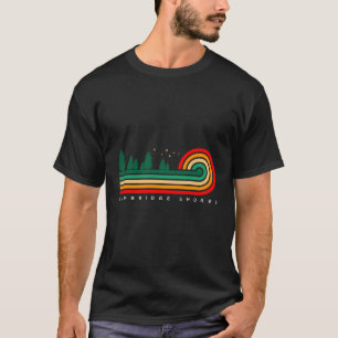 Camiseta Evergreen Vintage Stripes Cambridge Shores Kentuck