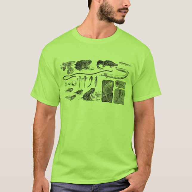Camiseta Evolución anfibia (Anverso)