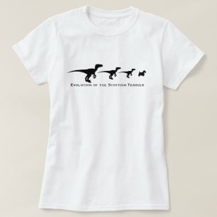 Camiseta Evolución del territorio escocés
