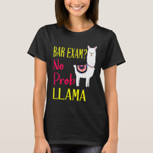 Camiseta Examen de Abogacía Aprobado El Aprobado Sin Prob L