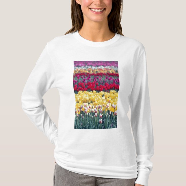 Camiseta Exhibición de Tulipán en el valle de Skagit, (Anverso)