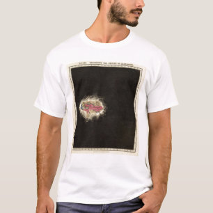 Camiseta Exhibiendo el imperio de Alexander 323 A.C.