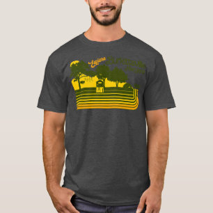 Camiseta Explora Burkittsville Blair Witch Retro Stripe