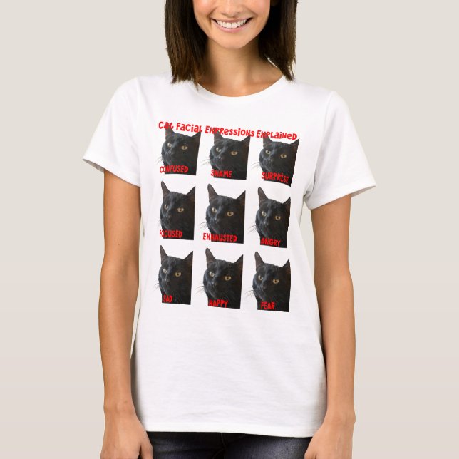 Camiseta Expresiones faciales de gato explicadas gráfico re (Anverso)