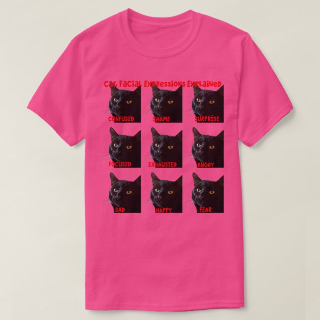 Camiseta Expresiones faciales de gato explicadas gráfico re (Diseño del anverso)