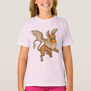 Camiseta Eyrie Brown