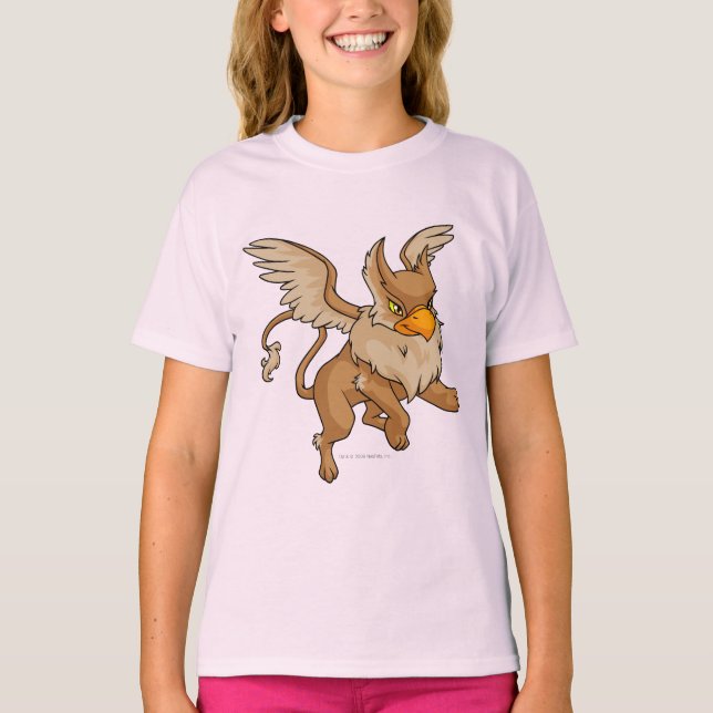 Camiseta Eyrie Brown (Anverso)